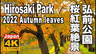 4K 2022 弘前公園の紅葉 Autumn leaves of Hirosaki Park 弘前城 弘前観光 青森観光 青森旅行 紅葉の名所 桜紅葉 紅葉の名所 Hirosaki Castle [upl. by Arutnev464]