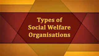 Types of Social Welfare Organisations [upl. by Rovaert488]