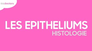 Les épithéliums  Histologie [upl. by Wynnie926]