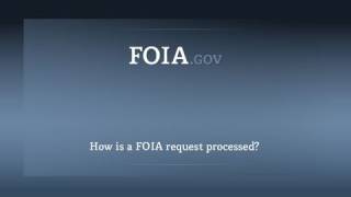 How is a FOIA request processed [upl. by Brandon]