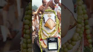 തിരുവോണത്തോണി ദർശനം  Aranmula  Vallamkali  Kuthiyottam song  Onam 2024  shorts [upl. by Annoek]