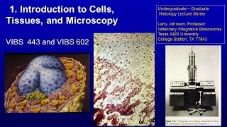 2 Introduction to Cells Tissues and Microscopy Lecture [upl. by Niboc897]