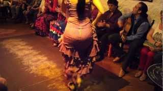 Flamenco Dance by Spanish Gypsies Part 1 [upl. by Amsirac786]