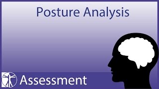 Posture Analysis updated version in description [upl. by Jannel]