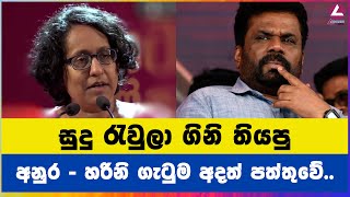 සුදු රැවුලා ගිනි තියපු අනුර  හරිනි ගැටුම අදත් පත්තුවේ [upl. by Vikky]