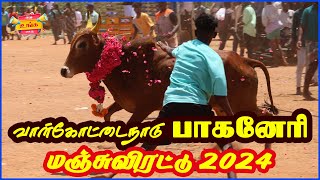 பாகனேரி மஞ்சுவிரட்டு  களத்தை தெறிக்கவிட்ட காளைகள் 2024 tamil manjuvirattu [upl. by Jael40]