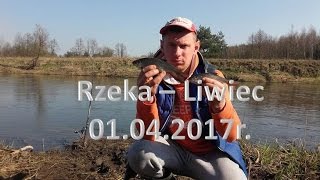 Rzeka  Liwiec 01042017r [upl. by Sesiom]