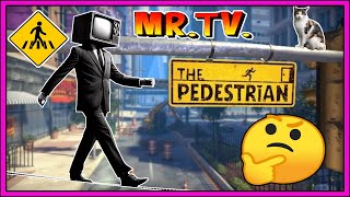 🤨​💥​WALKING LIKE A PEDESTRIAN🐞​🐌¡¡¡🚹​🚸 Por Mister TV🏃​👣​​ [upl. by Whitby]