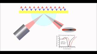 Surface Plasmon Resonance Explained [upl. by Anoif]