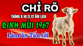 Tháng 9 10 11 12 âm Thầy tử vi chỉ rõ THÁNG NÀY Đinh Mùi 1967 làm ăn tấn tới Tiền đếm mỏi tay [upl. by Annawahs]