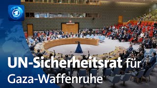 UNSicherheitsrat spricht sich für WaffenruhePlan in Gaza aus [upl. by Peatroy]