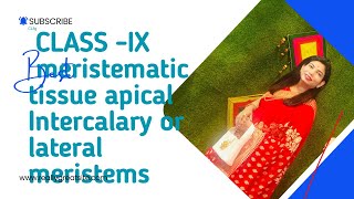 Apical Intercalary and lateral meristem [upl. by Loise]