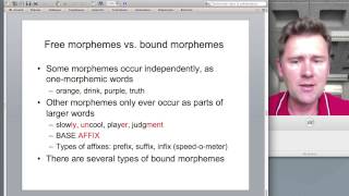 Words and morphemes [upl. by Ahsema]