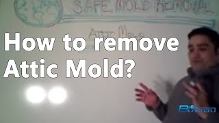 Attic Mold Removal  Attic Mold Remediation How to Remove The Green Solution Part 3 [upl. by Chiang284]