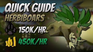 Herbiboar Quick Guide 150K EXP  450K GP [upl. by Leahcimaj997]