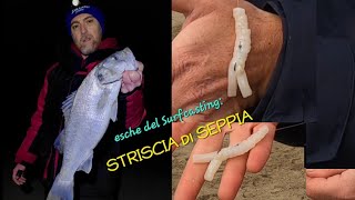 Surfcasting Tutorial innesco striscia di SEPPIA per Mare MOSSO [upl. by Farah]