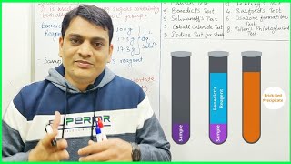 Part 3 Benedicts Test with Reactions  Test for Carbohydrates [upl. by Zilvia]