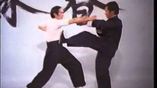 Wing Chun  The Science of InFighting Wong Shun Leung LEGENDADO [upl. by Lladnor]