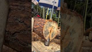 Conical drill bit wood splitting process machinery shorts youtubeshorts machinewonders 1714 [upl. by Devlin]