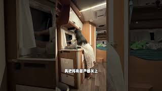 Nite dark family Smart Appliances Kitchen Utensils Home Inventions shorts gadgets [upl. by Karr]