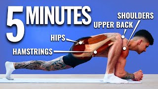 How To Unlock Your Mobility in 5 Minutes DAILY STRETCH [upl. by Nireil]