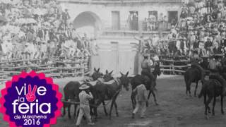 Sevillanas Marcheneras por los 180 años de la Feria de Marchena [upl. by Lundell]