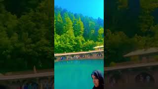 verinag kashmir beutifull tourist place short vedio clip [upl. by Harle157]