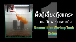 EP5 ตั้งตู้เลี้ยงกุ้งแคระ แบบฉบับฟาร์มเพาะกุ้ง Neocaridina Shrimp Tank Setup [upl. by Elhsa370]