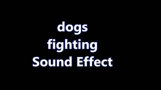 dogs fighting Sound Effect [upl. by Anelaj]