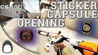 CSGO  Sticker Capsule Opening [upl. by Nnitsuj]