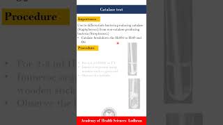 Catalase test  Microbiology  by Imran Yaseen [upl. by Nallak861]