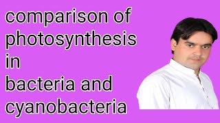 Photosynthesis in Bacteria  Photosynthesis in cyanobacteria  class 11  Dr Mushtaq Lectures [upl. by Rocher32]