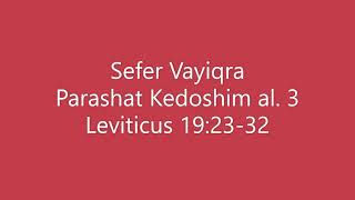 Torah Chanting  Sefer Vayiqra  Parashat Portion Kedoshim al 3 [upl. by Iatnahs]