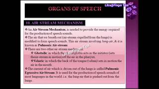 Organs of Speech  Classification  Air Stream Mechanism  Pulmonic  Glottalic  Velaric [upl. by Puglia]