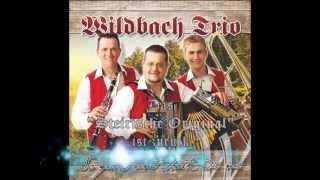 Wildbach Trio 2013  Das neue Album ab 57 im Handel [upl. by Gerald265]