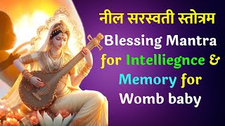 5000 year old vedic saraswati Mantra Best for Memory and intelligence l Neel saraswati stotram [upl. by Trenna]