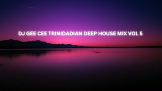 DJ GEE CEE TRINIDADIAN DEEP HOUSE MIX VOL 5 [upl. by Aikemahs]