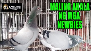 MALING PANINIWALA NG MGA NEWBIES [upl. by Oiram]