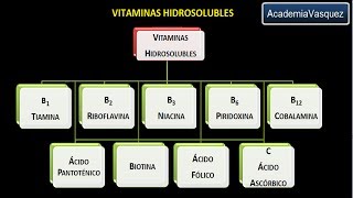 Vitaminas hidrosolubles Vitamina B2 o Riboflavina [upl. by Blockus]