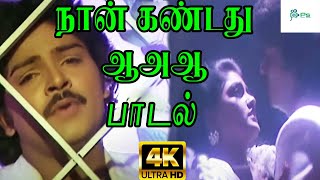 நான்கண்டது ஆஅஆ பொய் நாடகம் ஆஅஆ  Naan kandathu Poi naadagam  Kadhal Soga Padal  SPB  HD [upl. by Llekim]