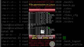 How to control File Permissions in Linux chmod  Linux Unix shorts [upl. by Rakso]