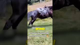 ZAVALLI AT SAHİBİNİ ÇOK İYİ TANIYORDU 🐴🥺 [upl. by Elorac65]