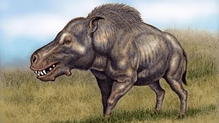 El Cerdo Terrible Prehistórico  DAEODON Curiosidades que pocos conocen [upl. by Reimer]