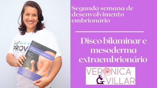 Segunda semana de desenvolvimento embrionário Disco bilaminar e mesoderma extraembrionário [upl. by Luapsemaj]