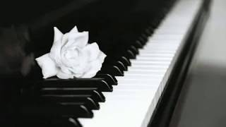 Chopin  Nocturne Op 9 n 2 Maurizio Pollini [upl. by Narmi]