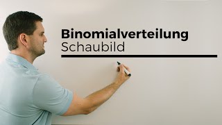 Binomialverteilung Schaubild Histogramm  Mathe by Daniel Jung [upl. by Theodora]