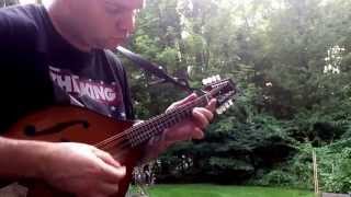 Gibson vs girouard mandolin [upl. by Aihsem]