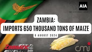 Zambia Imports 650 Thousand Tons of Maize  8 August 2024 [upl. by Aiahc]