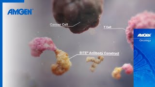 BiTE® Immunotherapy The Next Generation of Cancer Treatment [upl. by Boor]