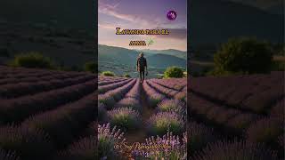 Lavanda para el alma 🌿 SanaciónEmocional PazInterior DueloAmoroso [upl. by Enomar]